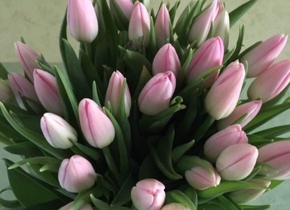 Pâques arrive bientôt