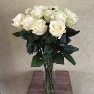Roses blanches