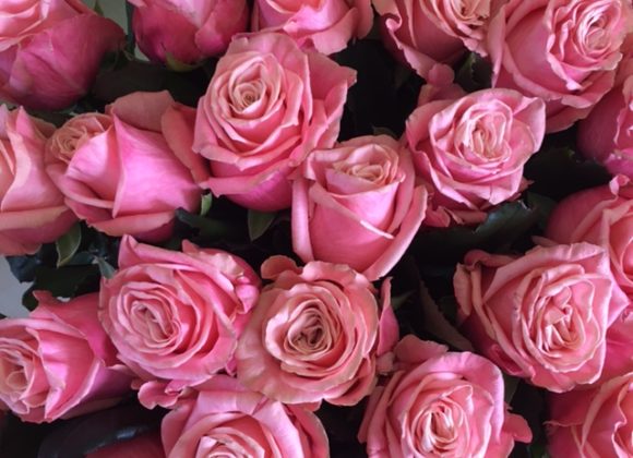 Une belle journée à tous.