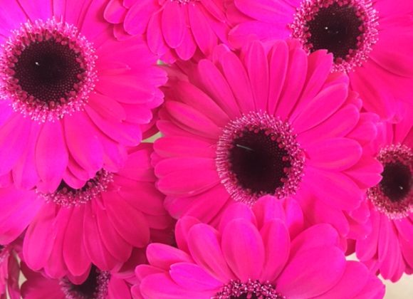 Pâques arrivent bientôt