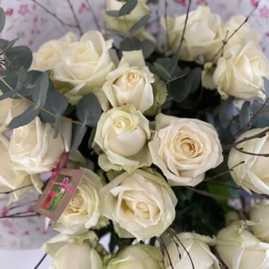 Roses blanches
