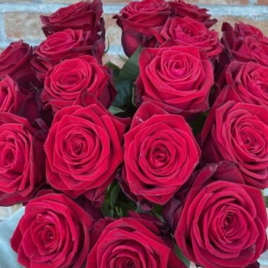 Roses rouges