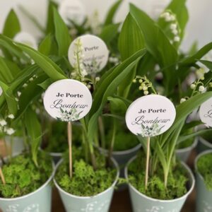 Pot de muguets