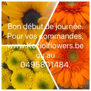 Mardi 26 mai