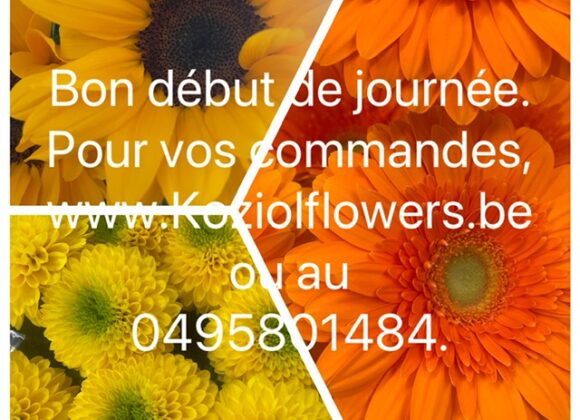 Mardi 26 mai