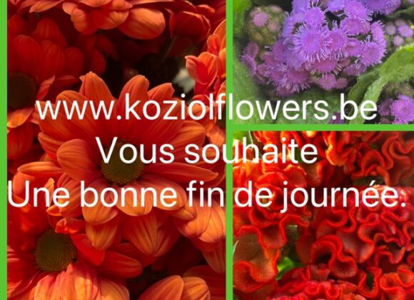 29 octobre 2026