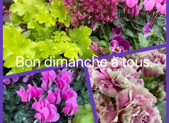 25 octobre 2026.