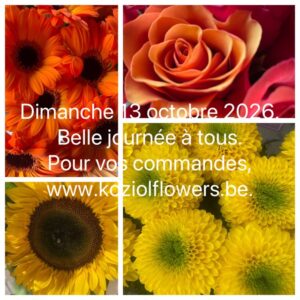 13 octobre 2026.