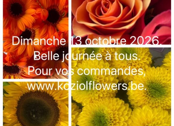 13 octobre 2026.